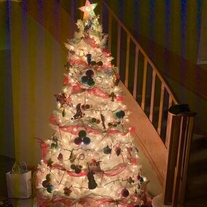 Meet your Posher, Ervin